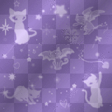 cute cats