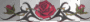 tribal rose
