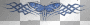 blue butterfly 2