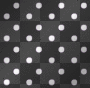 White Polka Dots On a black Background