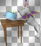 dog wants cake