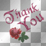 thank you red rose