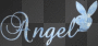 PLAYBOY ANGEL