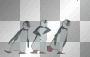 penguins
