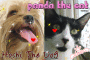 Hoshi+Panda