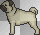 pug