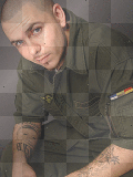 PIT BULL