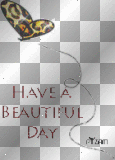 Beautiful day