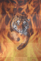 tiger flames!