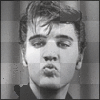 elvis kiss