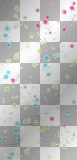 paint