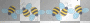 bees border