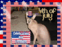 Happy 4th of July