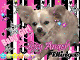 baby girl angel