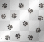 white pawprint background