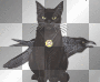 Black Cat Black Cat