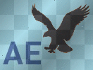 american eagle.