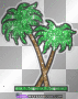 summer tree