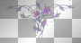 purple flowers
