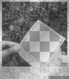 poloroid