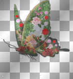 Butterfly Garden