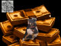 snoop