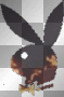 playboy bunny