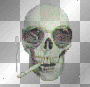 Smoking Skull