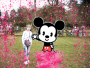 Jay + Micky Mouse wha hee doiin sooo far frm disney land???
