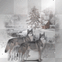 snow wolves snow wolves