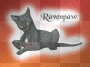 Ravenpaw