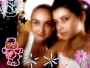 deea29