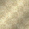 gold glitter