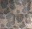 leopardtwinkle