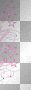 pink star