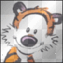 Tigre