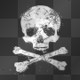 skull