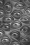 eyes