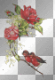 roses roses
