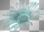 teal flower teal flower