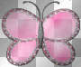 pink butterfly