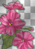 pink green flowers