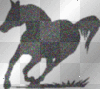 Black "Static" horse