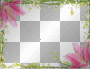 Garden Frame