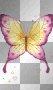 cute butterfly
