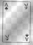 ACE PLAYBOY