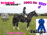 horse