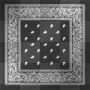 Black Flag