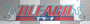 bleach logo