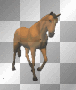 walking horse